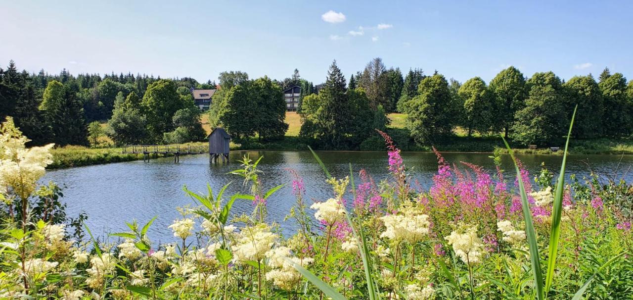 Bergliebe Leilighet Goslar Eksteriør bilde